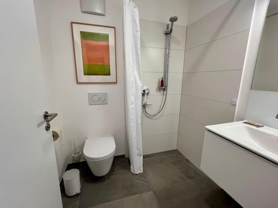 Schickes 2-zi-apartment Am Neckarufer Buga-park Mit Tg-stellplatz *