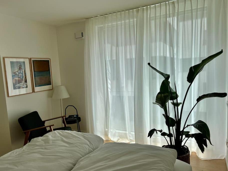 Apartment Schickes 2-zi-apartment Am Neckarufer Buga-park Mit Tg-stellplatz